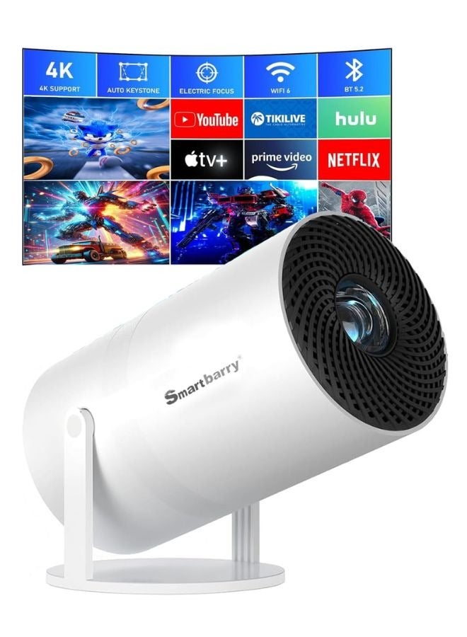 Projector