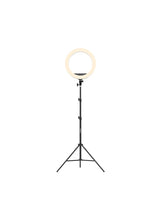 LGT02 GlowMaster 18-Inch Ring Light with Adjustable Lighting and Phone Holder, Remote Control, and Touch Control Panel